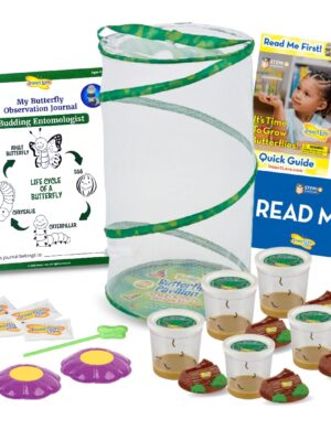 Insect Lore Easy 25 Butterfly Garden Pavilion | 5 Cups of 5 Baby Caterpillars, Pavilion Habitat, Chrys-a-lids, Food & Supplies |